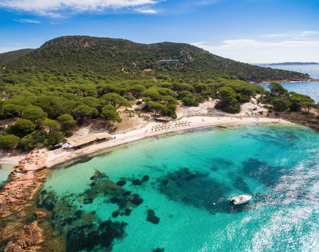 le plage de palombaggia en corse
