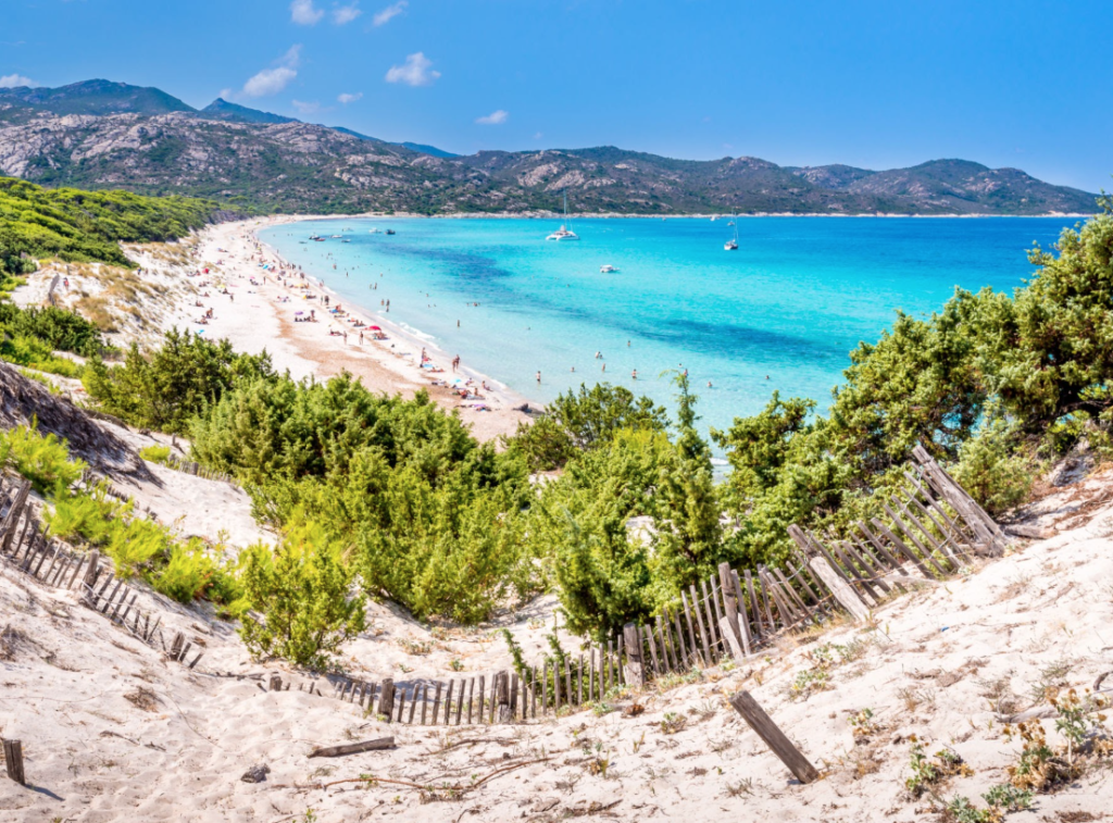 le plage de saleccia en corse
